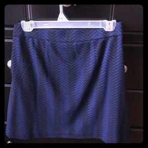 Ann Taylor Skirt